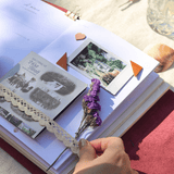 My Summer Stories Bundle | Ami Insert & Journaling Pack